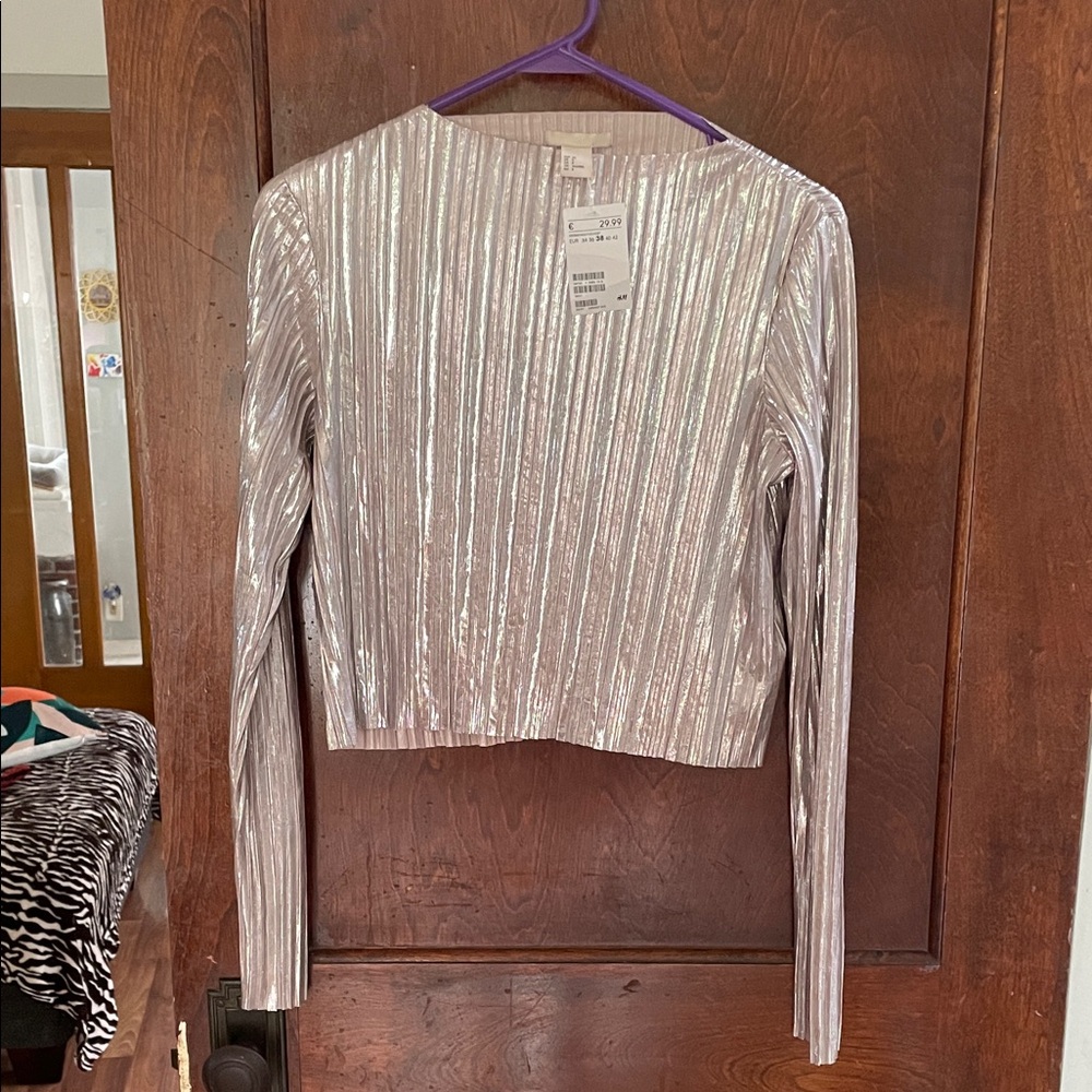 H&M Shimmering Silver Long Sleeve Blouse